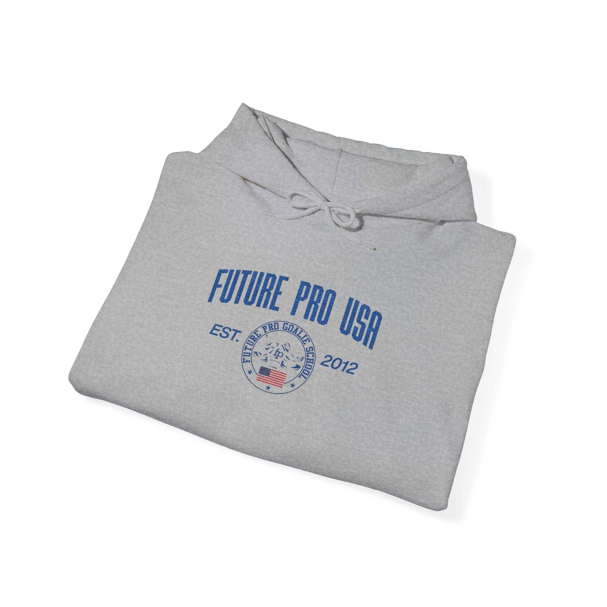 Folded grey Vintage Future Pro USA Hoodie with the distressed front graphic visible.