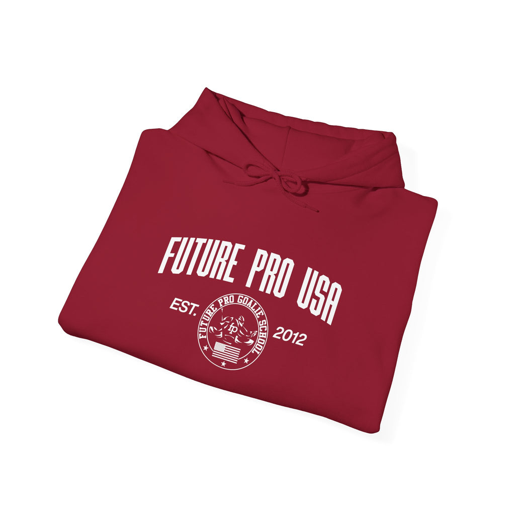 Folded Vintage Future Pro USA Hoodie with the retro Future Pro USA graphic visible, neatly arranged for product presentation.