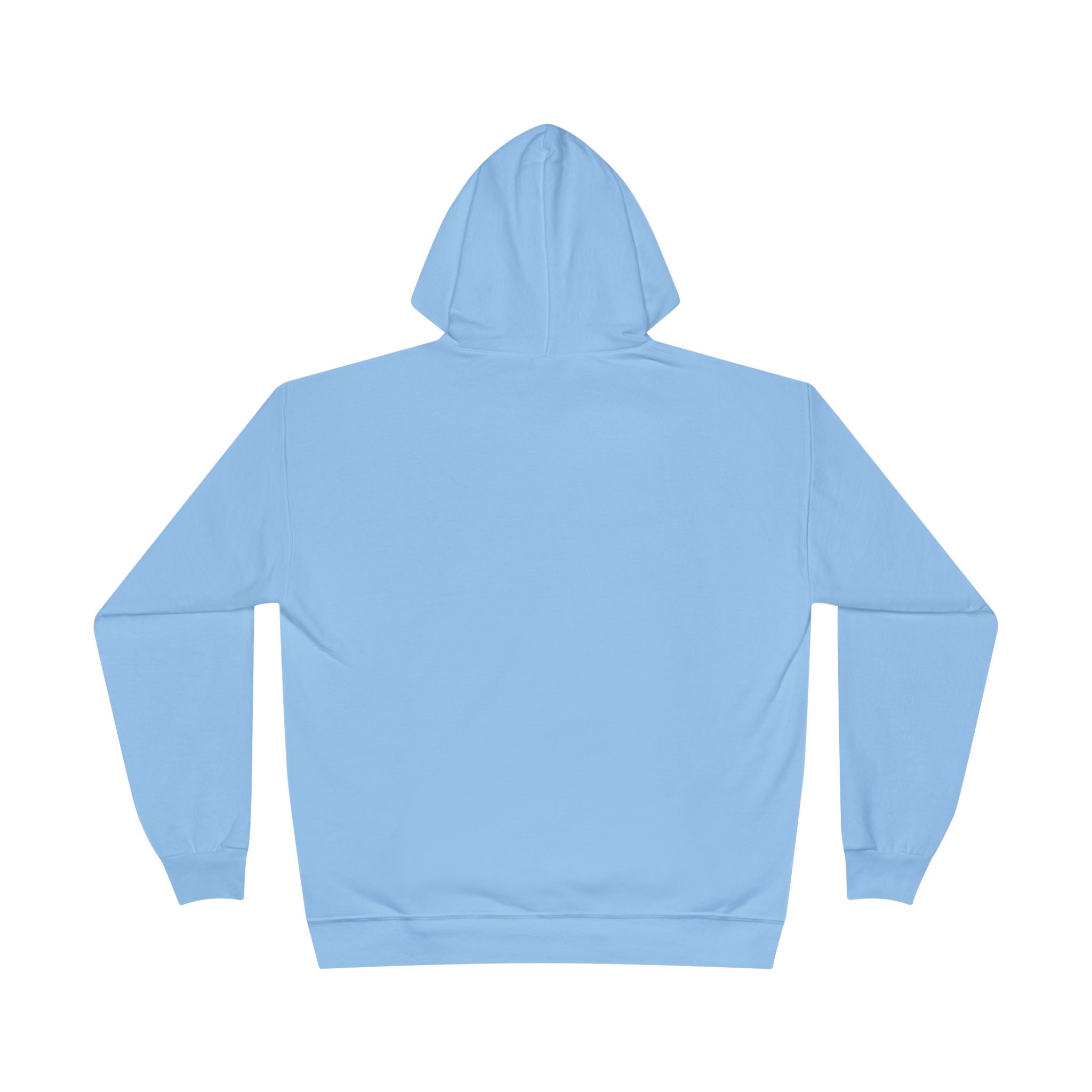 Michigan Hoodie