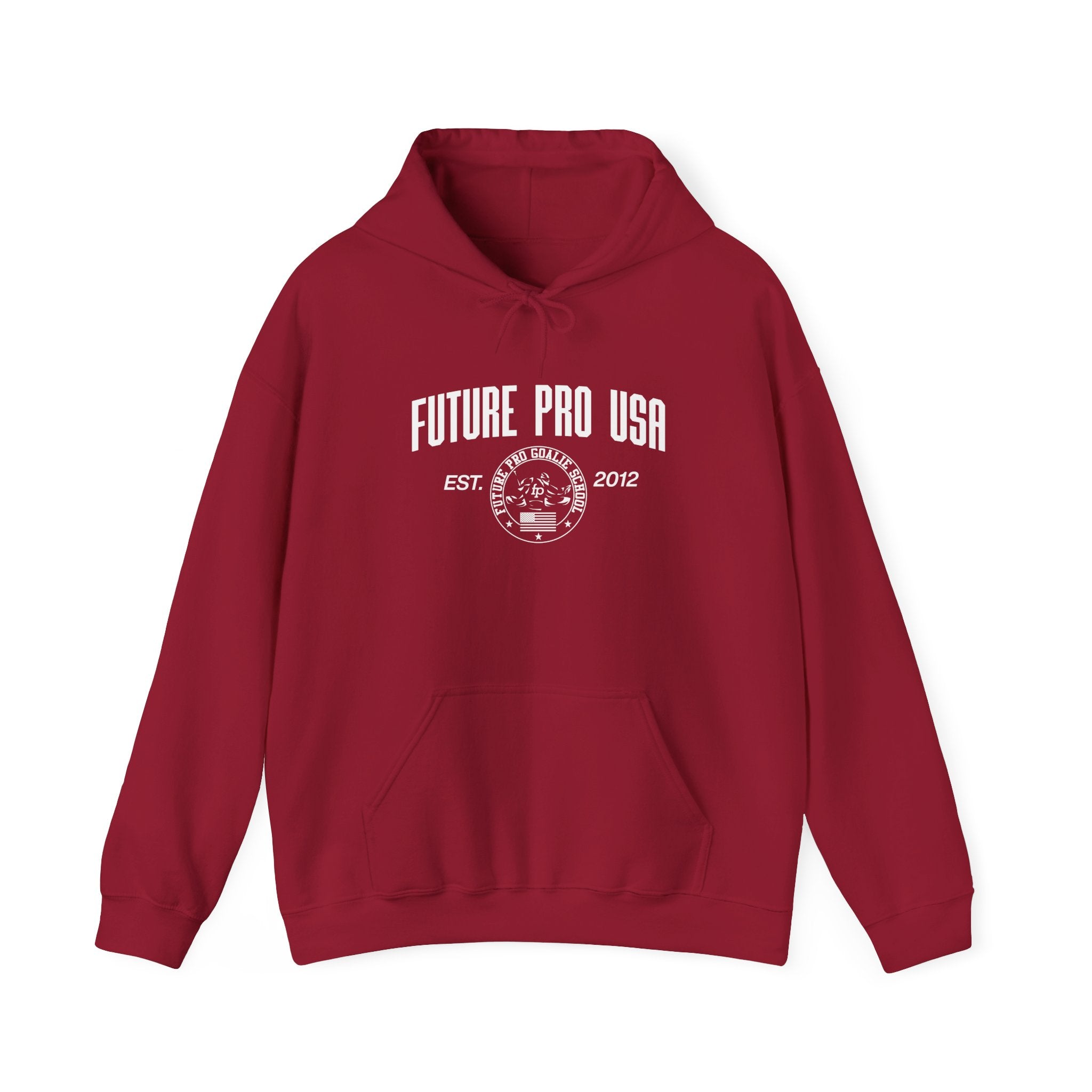 Front view of the Vintage Future Pro USA Hoodie featuring the retro Future Pro USA graphic, displayed flat for product detail.
