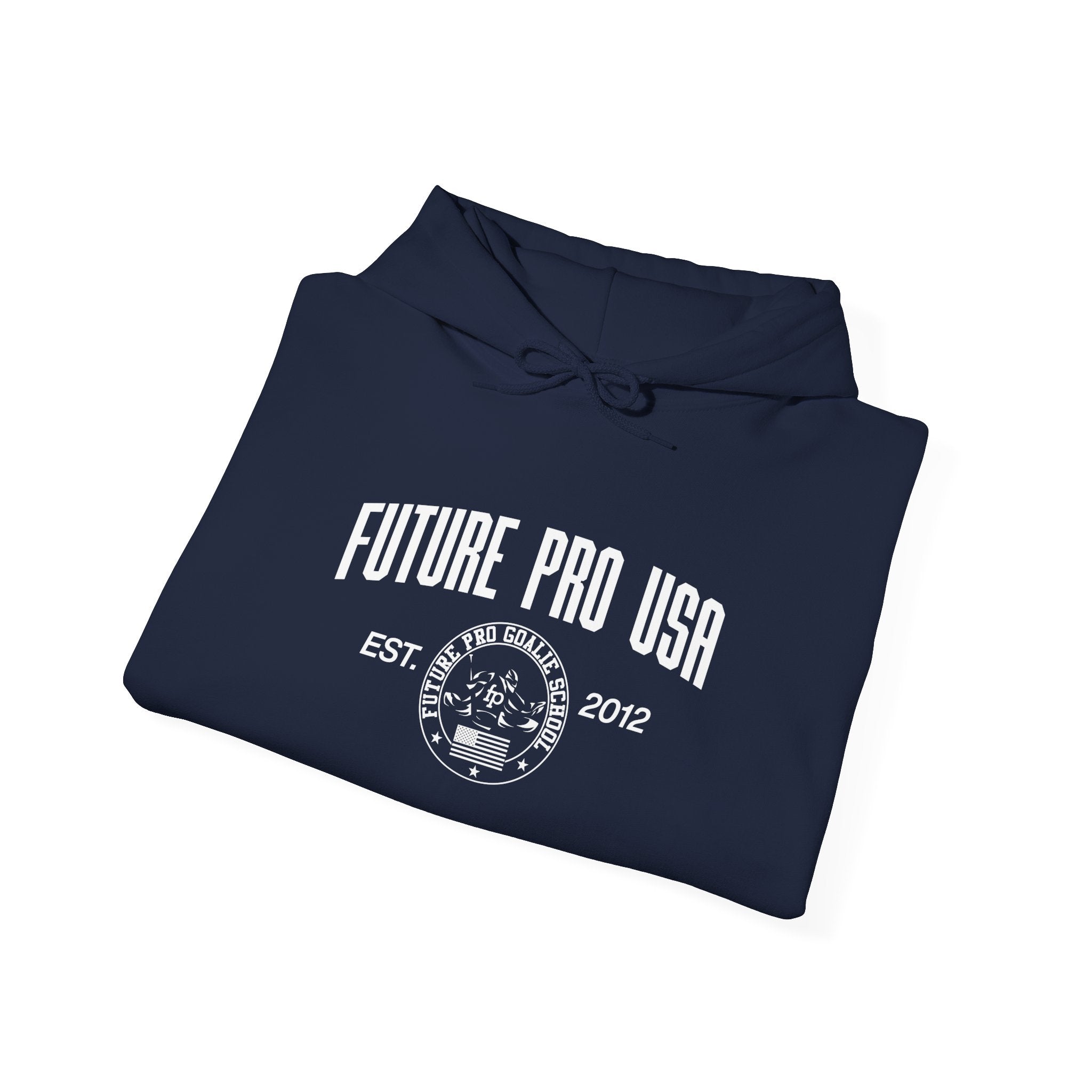 Folded Vintage Future Pro USA Hoodie with the retro Future Pro USA graphic visible, neatly arranged for product presentation.