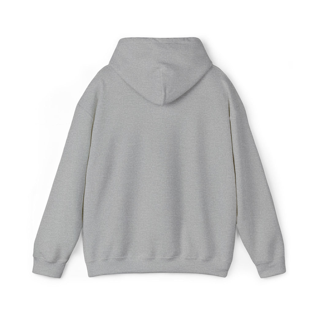 Back view of the grey Vintage Future Pro USA Hoodie showing the clean, minimal back and relaxed unisex fit.