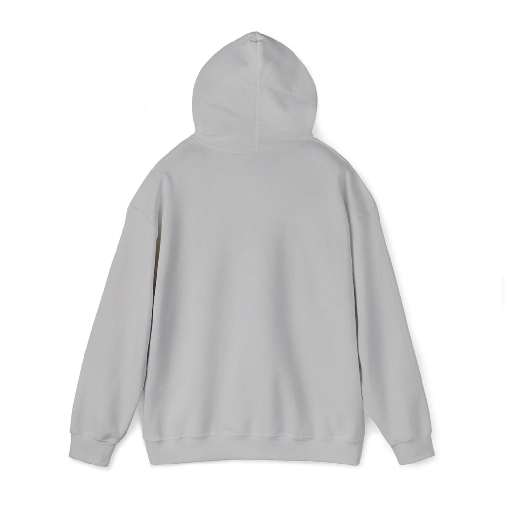Back view of the grey Vintage Future Pro USA Hoodie showing the clean, minimal back and relaxed unisex fit.