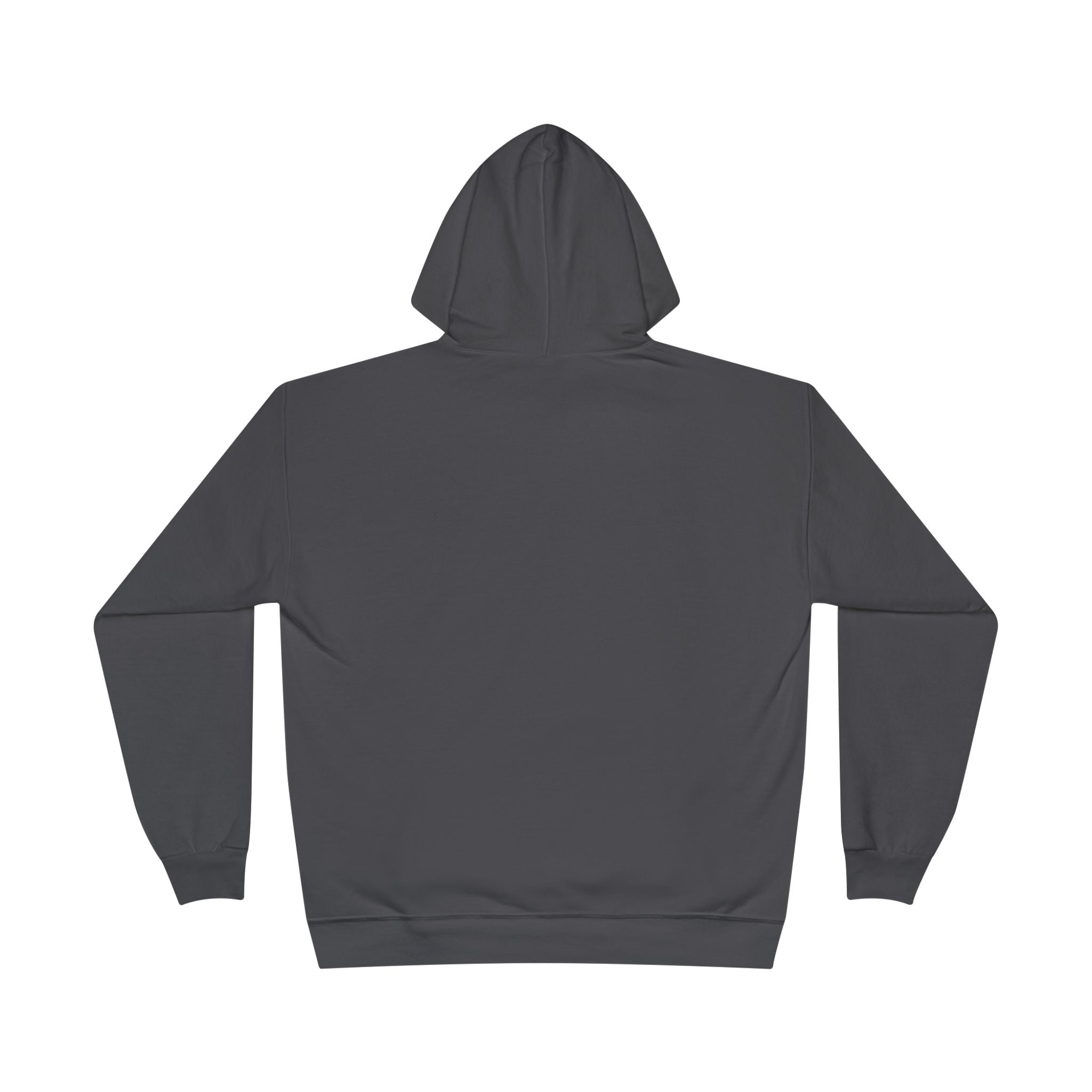 Michigan Hoodie