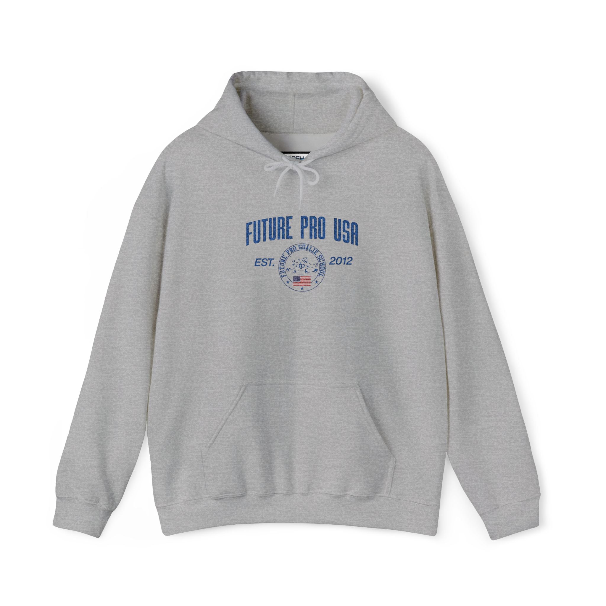 Front view of the grey Vintage Future Pro USA Hoodie featuring the distressed Future Pro USA graphic and front pouch pocket.
