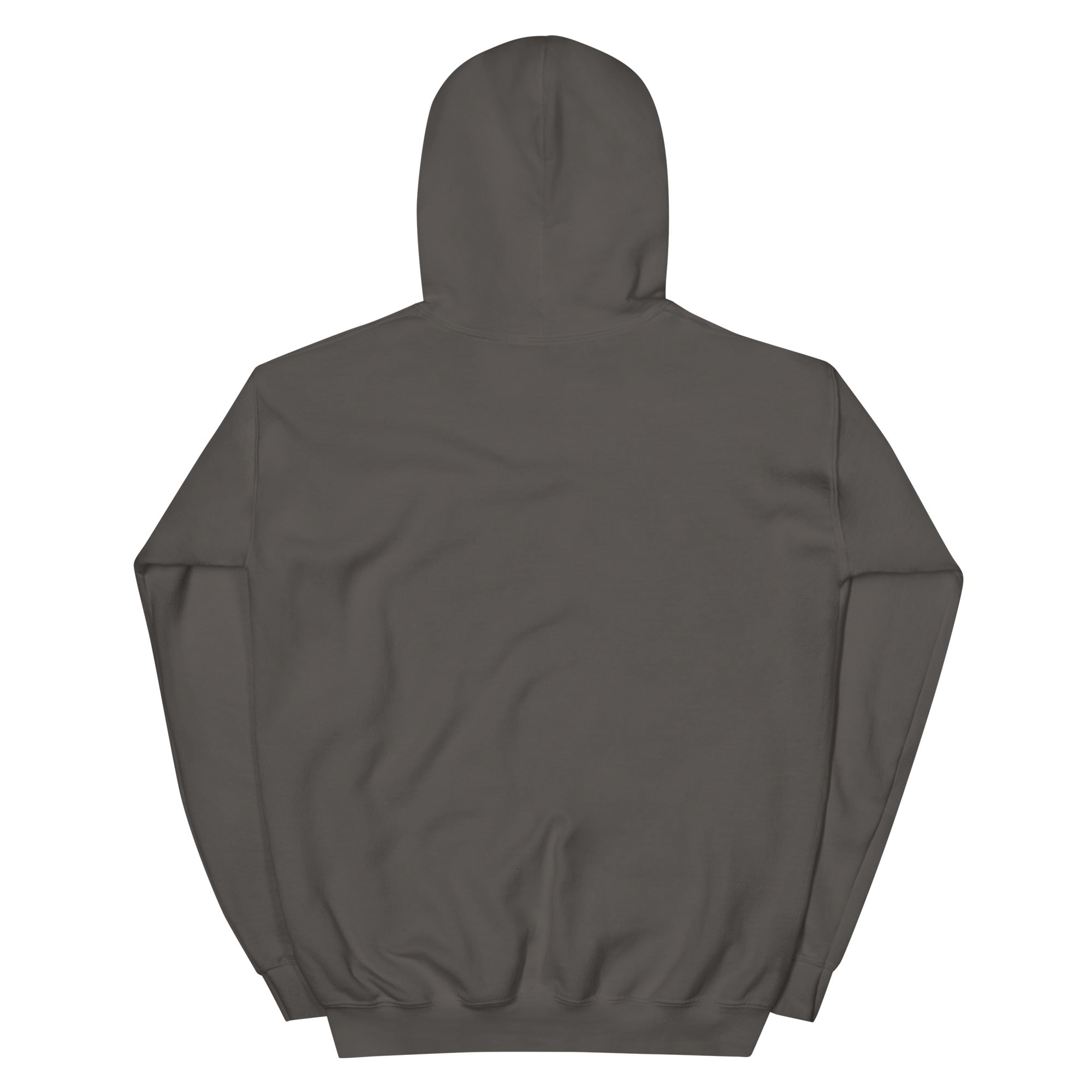 Back view of LHA Girls Hoodie, plain design with no graphics.