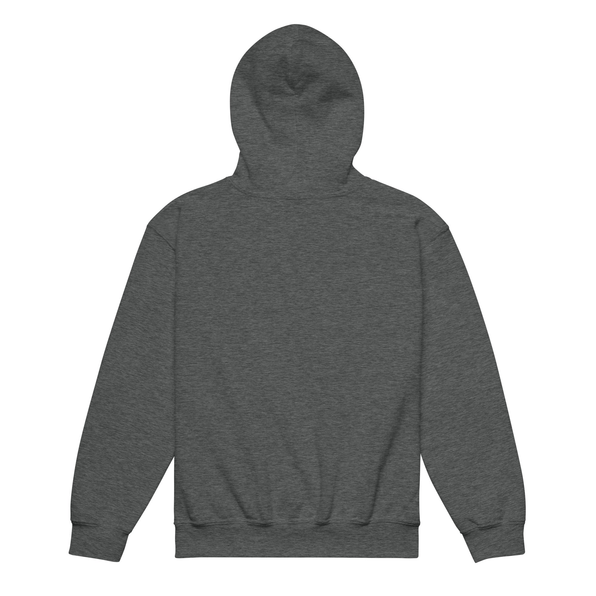 Back view of LHA Youth Hoodie, plain design with no graphics.